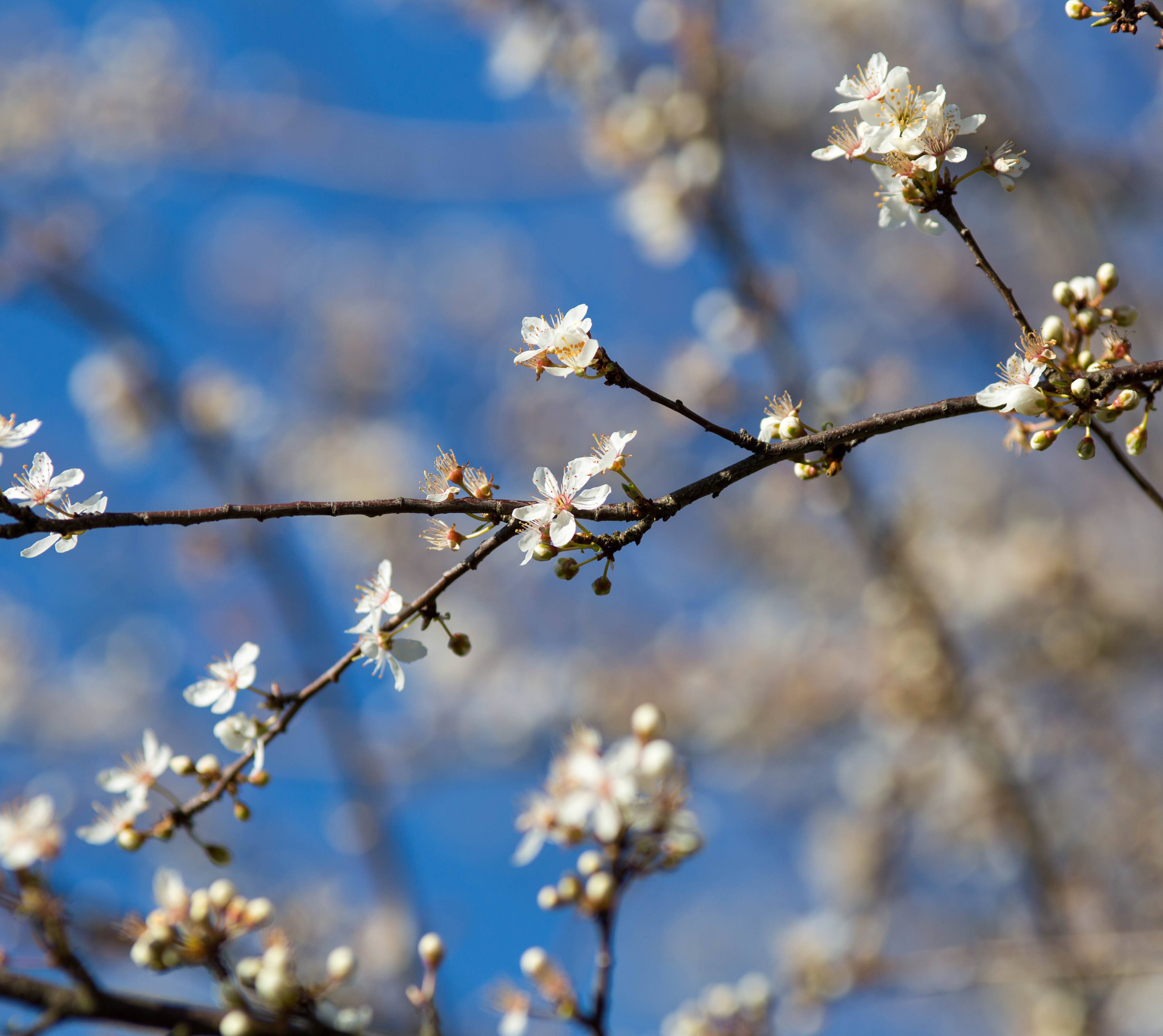 get inspired by spring - Hotel Schloßmühle