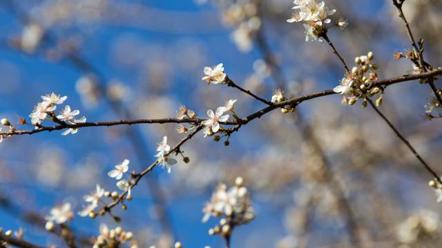 inspiring seasons: diversity of experiences and changing nature - Hotel Schloßmühle